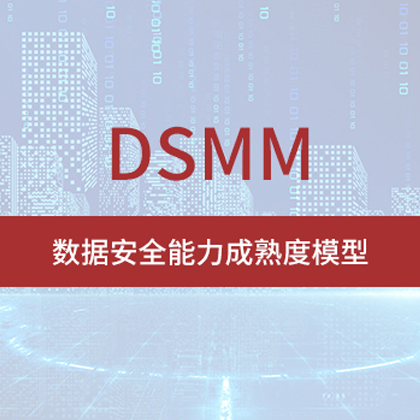 DCMM簡介